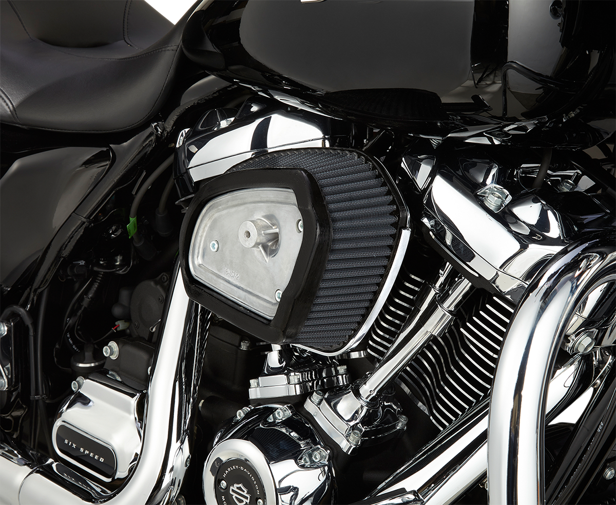 ARLEN NESS Big Sucker Etapa 1 - Cromo - FL 18-458