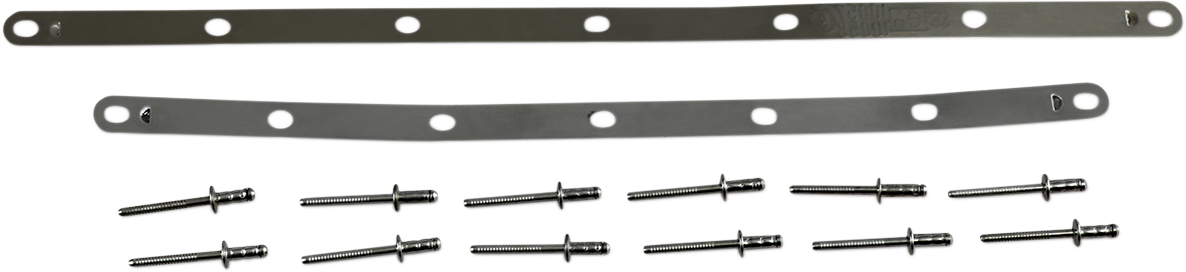 Kit de correas y remaches LEOVINCE - Fábrica R 088421022R