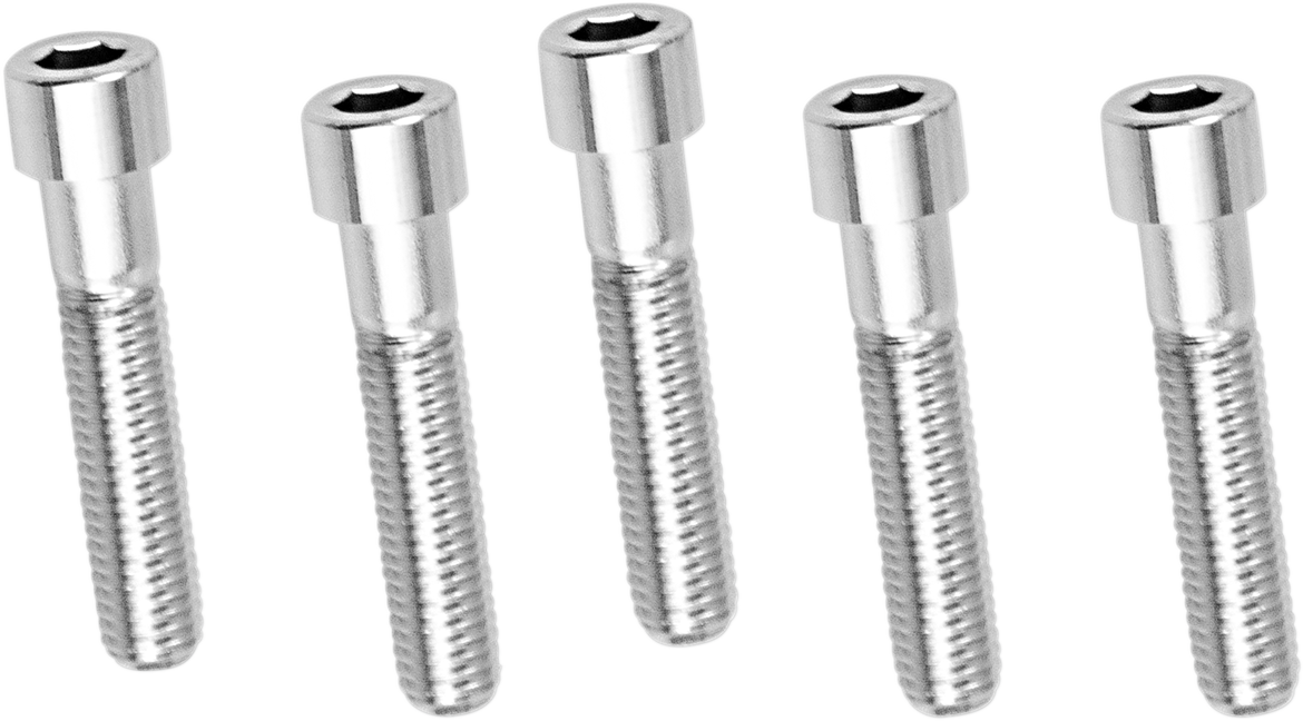 Pernos DRAG SPECIALTIES - Cabeza hueca - Lisos - 1/2" x 13 x 2-1/4" MPB697S