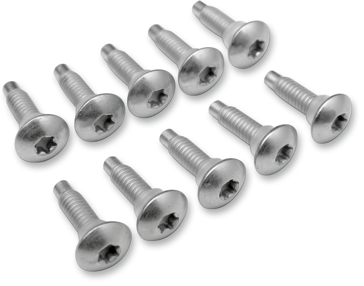 Tornillo de montaje para inyección eléctrica de combustible DRAG SPECIALTIES (paquete de 10) MPBDR13