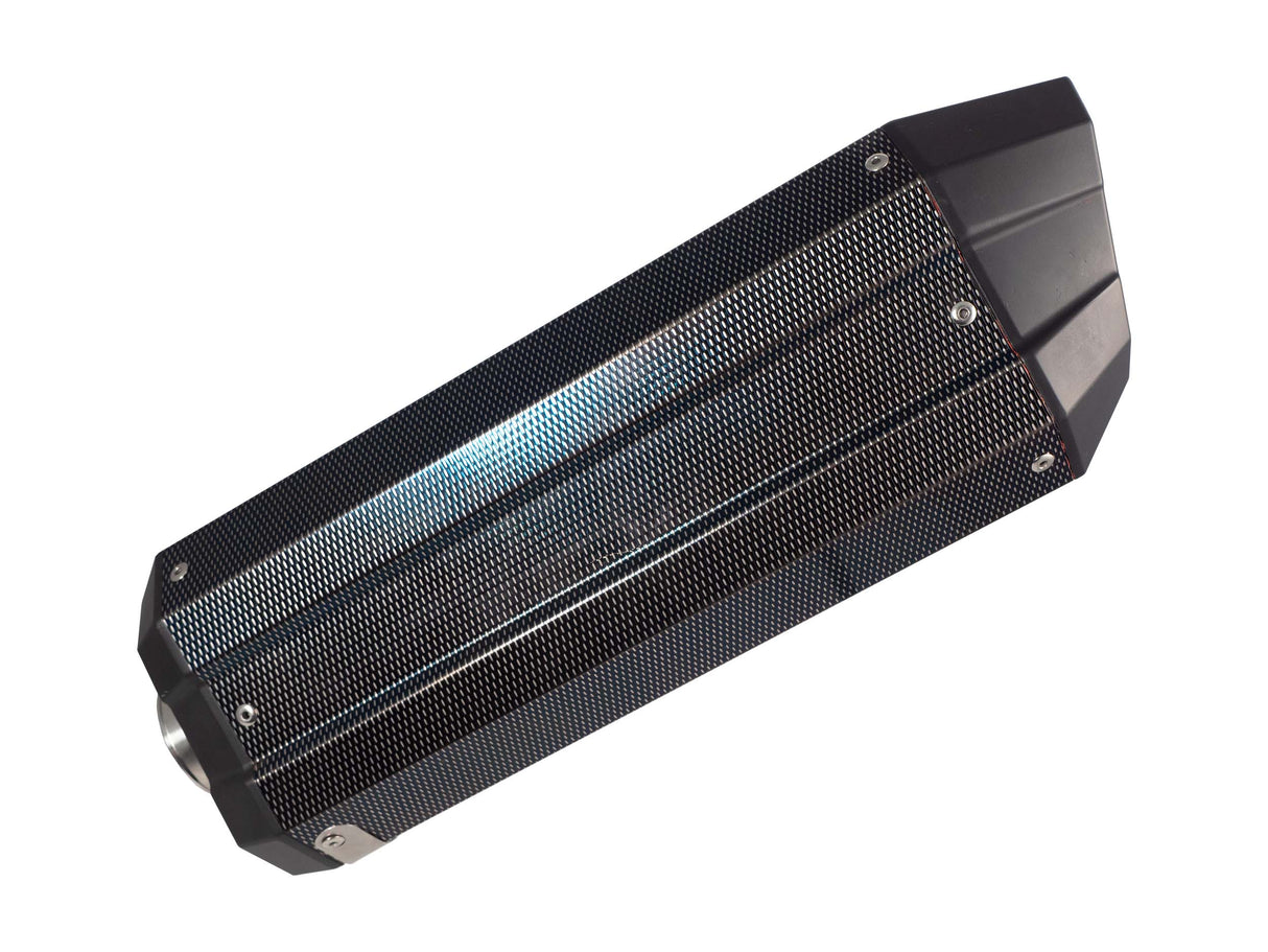 Bmw R1250R R1250RS 2019-2020 Exhaust GPR Slip-on Sonic Poppy