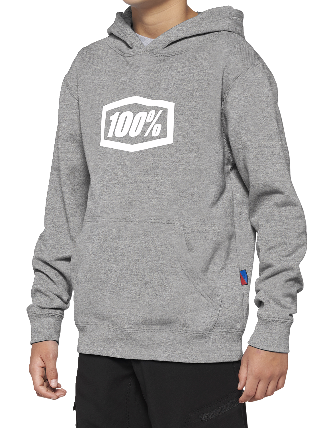 Sudadera con capucha 100% juvenil Icon - Gris - Talla mediana 20030-00005