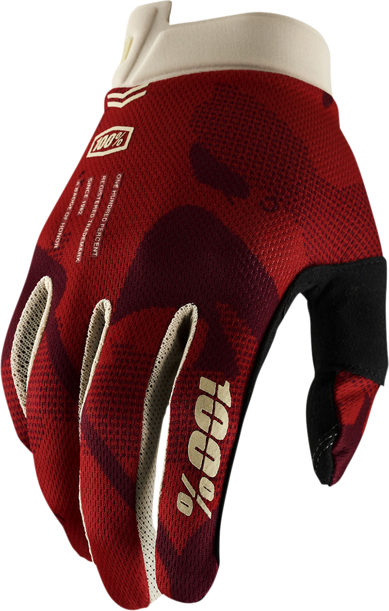Guantes 100% iTrack - Terra - Grandes 10008-00027