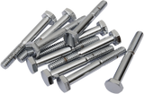 Pernos DRAG SPECIALTIES - Cabeza hexagonal - Cromados - 1/4"-20 x 2-1/4" MPB121