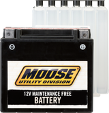 Batería AGM MOOSE UTILITY - YTX15L-BS 2113-0238 