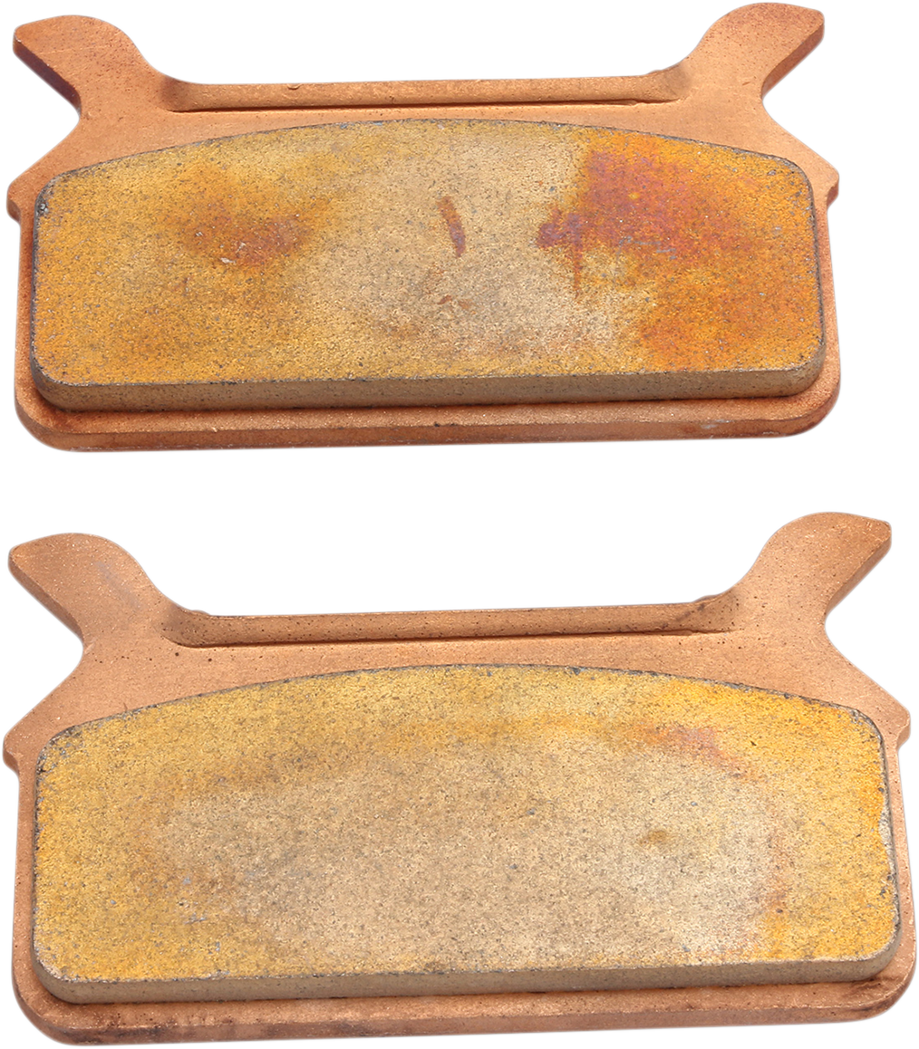 Pastillas de freno sinterizadas DRAG SPECIALTIES - Touring WRNG CALLOUT /WRNG PHOTO HDP904