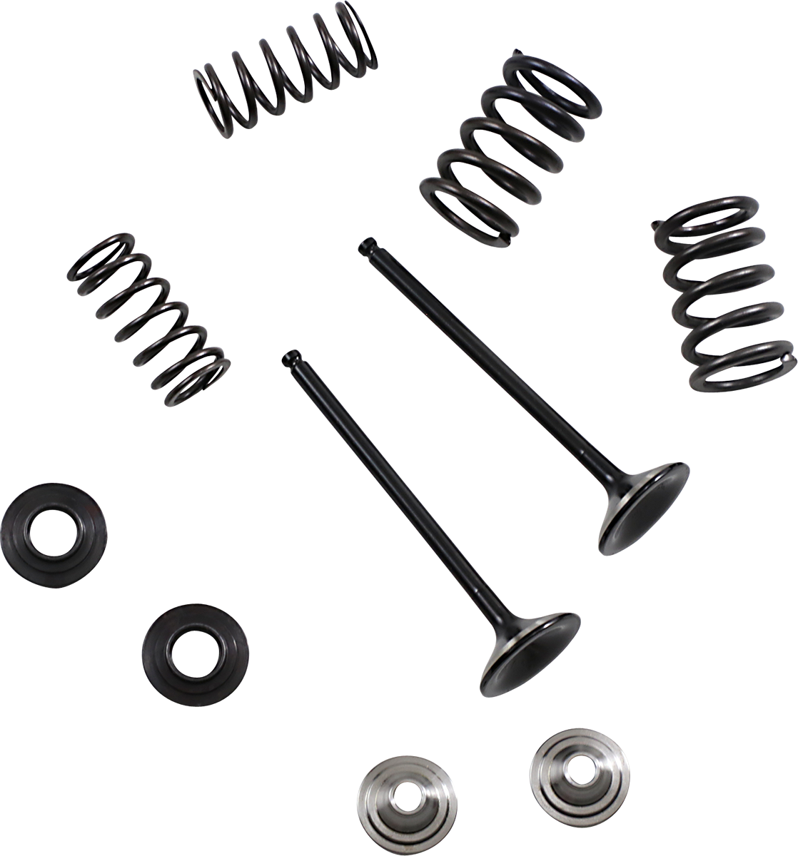 Kit de válvulas y resortes MOOSE RACING M80-82360