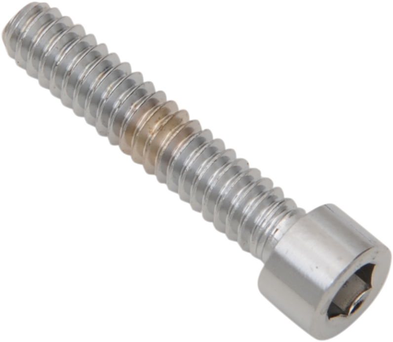 Pernos DRAG SPECIALTIES - Cabeza hueca - Lisos - 10-24 x 1-1/4" MPB196S 