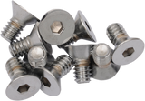 DRAG SPECIALTIES 1/4X20X5/8 Chrome Flat Head MPB575