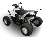 Access Supermoto 450 2005-2024 Exhaust GPR Slip-on Deeptone Atv