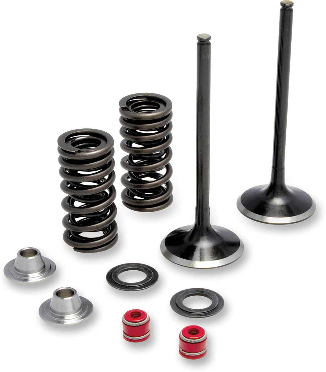 Kit de válvulas y resortes MOOSE RACING M60-60860