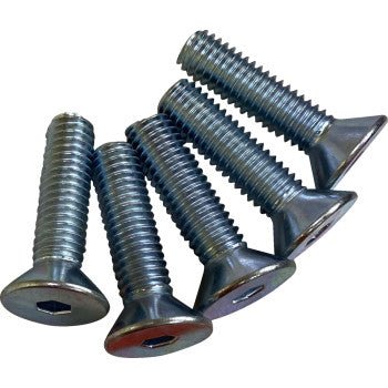 DRAG SPECIALTIES Hardware Kit - Brake Rotor - Socket-Head - 3/8