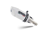 Kawasaki Z900 2020 Exhaust GPR Slip-on Albus Evo4 - photo 1