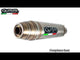Triumph Scrambler 400 X 2023-2025 Exhaust GPR Slip-on Deeptone Inox