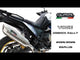 Kawasaki KLE 500 2026-2027 Exhaust GPR Slip-on Trioval - video 1
