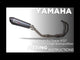Yamaha Tracer 9 2021-2024 Exhaust GPR Full System Furore Evo4 Nero