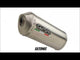 MZ Baghira 660 1998-2007 Exhaust GPR Slip-on Furore Poppy