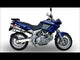 Cagiva Gran Canyon 1998-2000 Exhaust GPR Double Slip-on Trioval