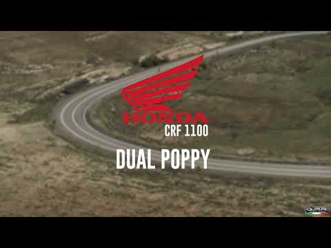 Honda CRF1100L Africa Twin Adventure Sport 2020-2024  Exhaust GPR Slip-on Dual Poppy