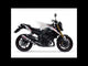 Yamaha Fz 8 2010-2016 Exhaust GPR Slip-on Trioval