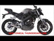 Yamaha Mt 125 2017-2019 Exhaust GPR Slip-on Albus Ceramic