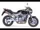 Honda Hornet CB600F 1998-2002 Exhaust GPR Slip-on Deeptone Inox