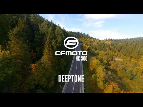 Cf Moto 300 NK 2022-2024 Exhaust GPR Full System Deeptone Inox