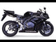 Honda CBR1000RR 2004-2007 Exhaust GPR Slip-on Tiburon Poppy