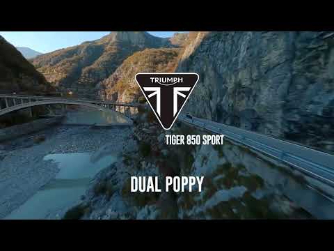 Sistema de escape GPR Triumph Tiger 850 2020-2024, doble amapola, escape deslizante con DB Killer extraíble y tubo de enlace