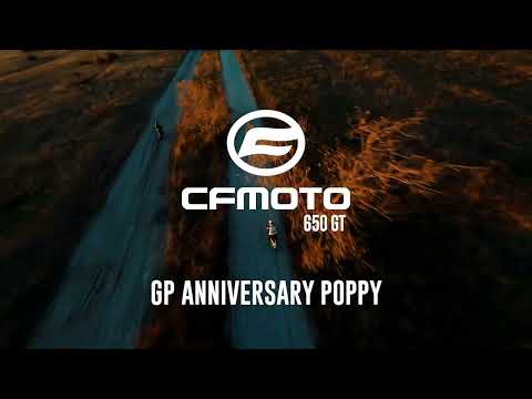 CF Moto 650 Gt 2022-2024 Exhaust GPR Slip-on Grand Prix Evo Poppy - video 1